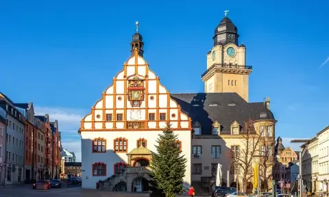 Schwimmbadreinigung in Plauen